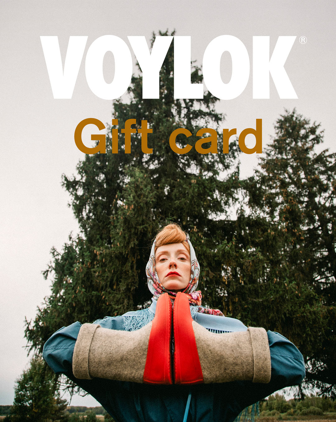 VOYLOK Gift Card